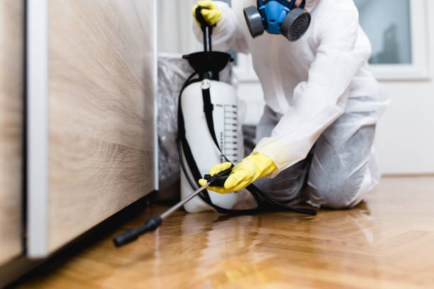 Best Cockroach Control Services  in Rural Hill, TN