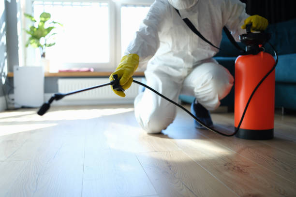 Pest Prevention Services in Rural Hill, TN