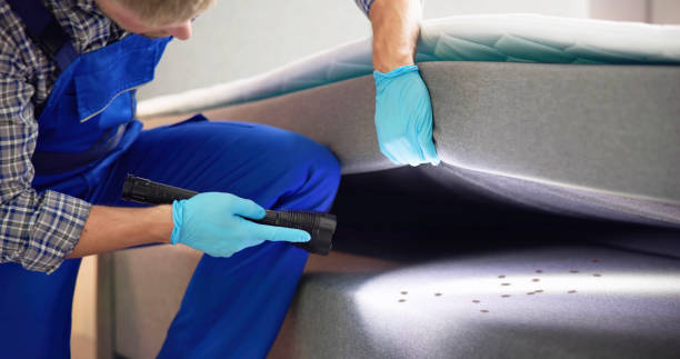 Best Flea Control Services  in Rural Hill, TN