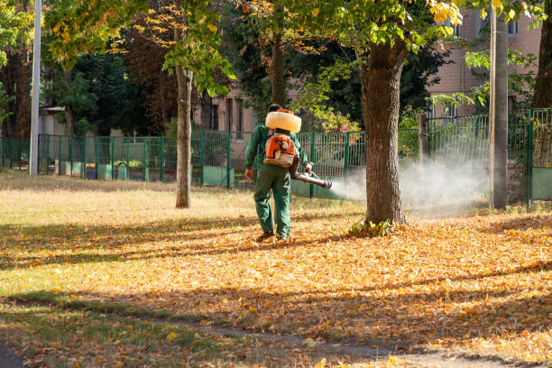 Best Best Pest Control Companies  in Rural Hill, TN