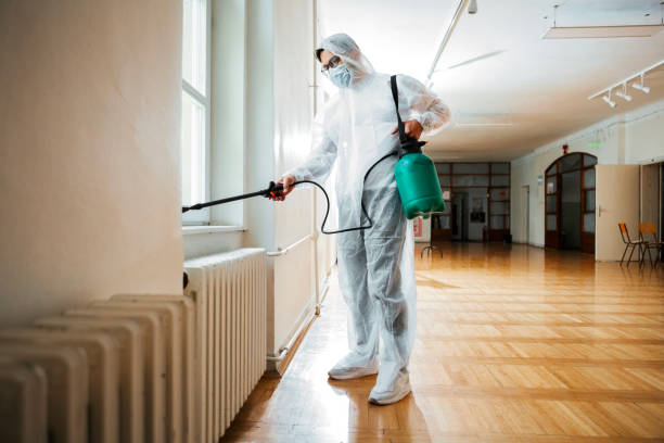 Best Best Pest Control Companies  in Rural Hill, TN