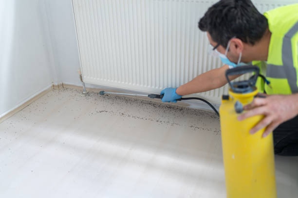 Best Affordable Pest Control Services  in Rural Hill, TN
