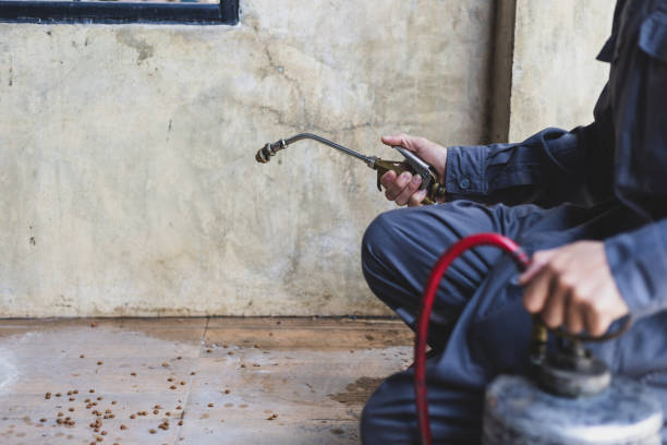 Best Termite Control Services  in Rural Hill, TN