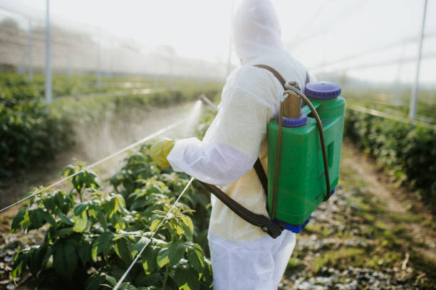 Best Wasp Removal Services  in Rural Hill, TN